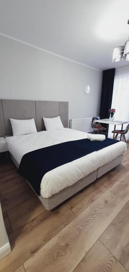 Studio Ema Baia Mare Exteriér fotografie