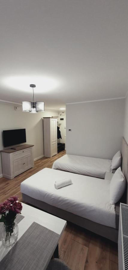 Studio Ema Baia Mare Exteriér fotografie